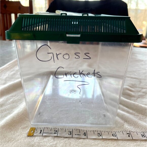 Lg Reptile & Insect Habitat Carrier W/ Lid & Handle - Green Ventilated Top C55 - Picture 3 of 8